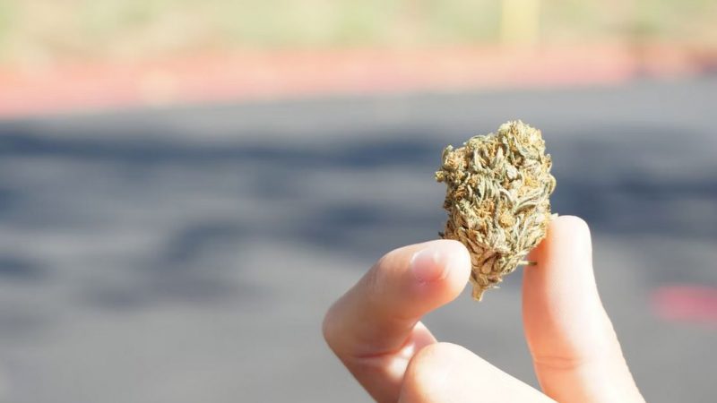 fleur cbd